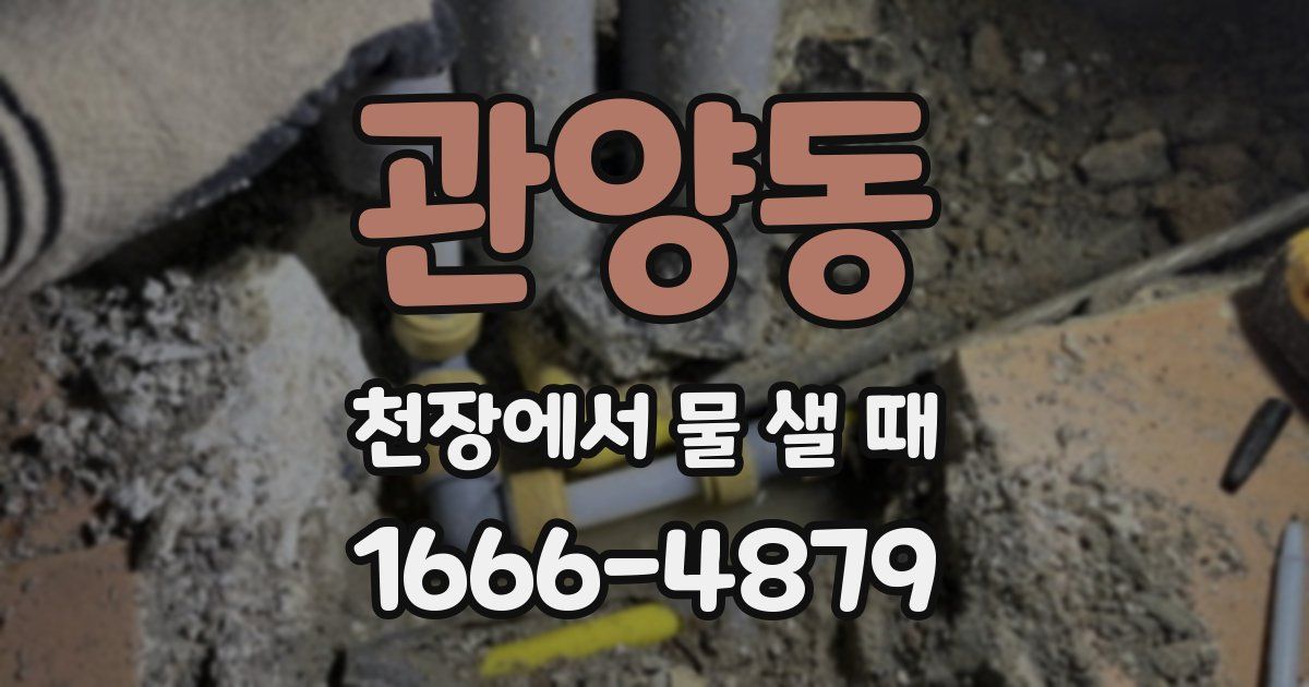 관양동 천장에서 물 샐 때