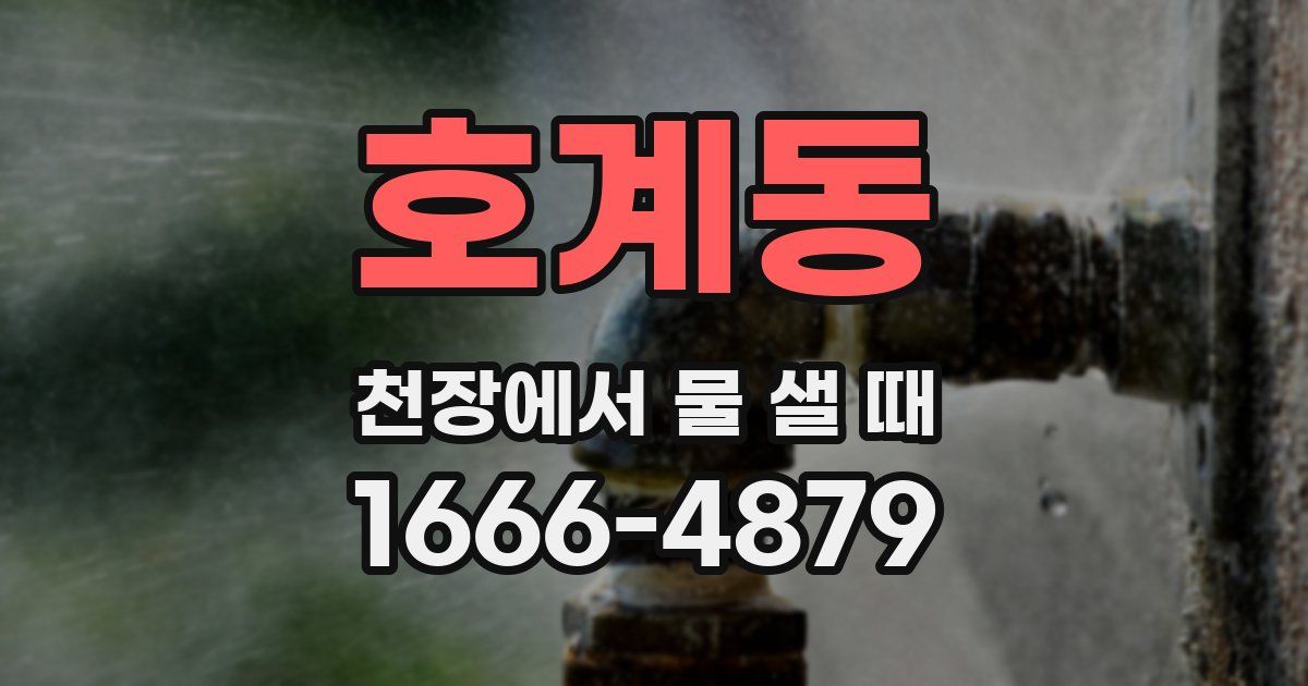 호계동 천장에서 물 샐 때