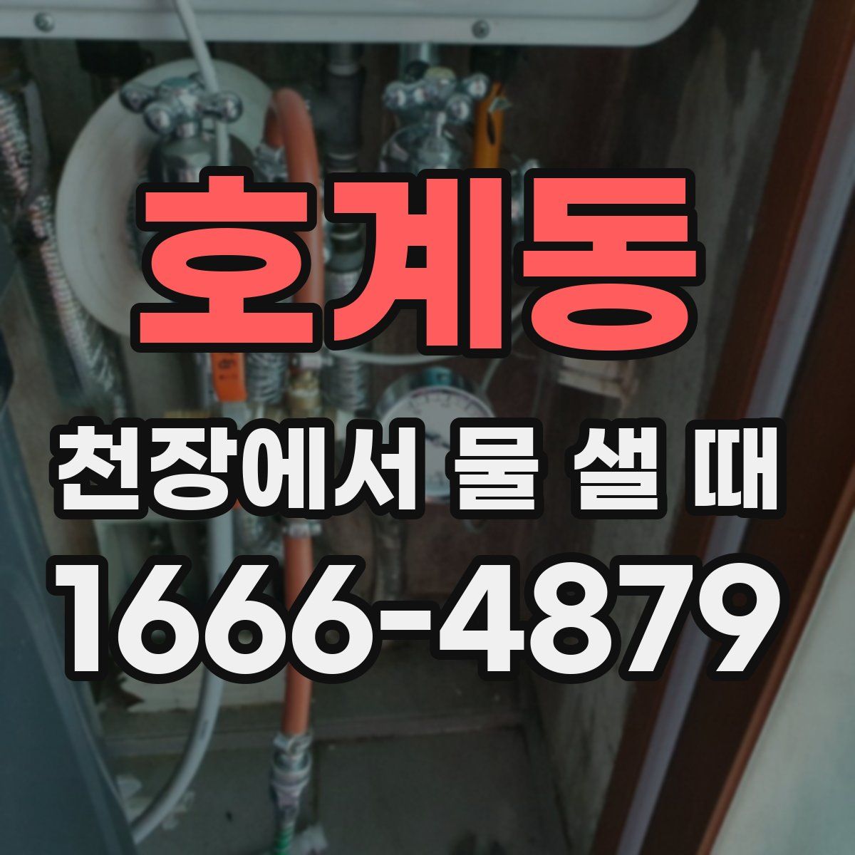 호계동 천장에서 물 샐 때