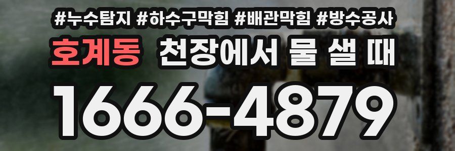 호계동 천장에서 물 샐 때