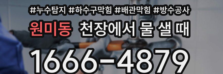 원미동 천장에서 물 샐 때