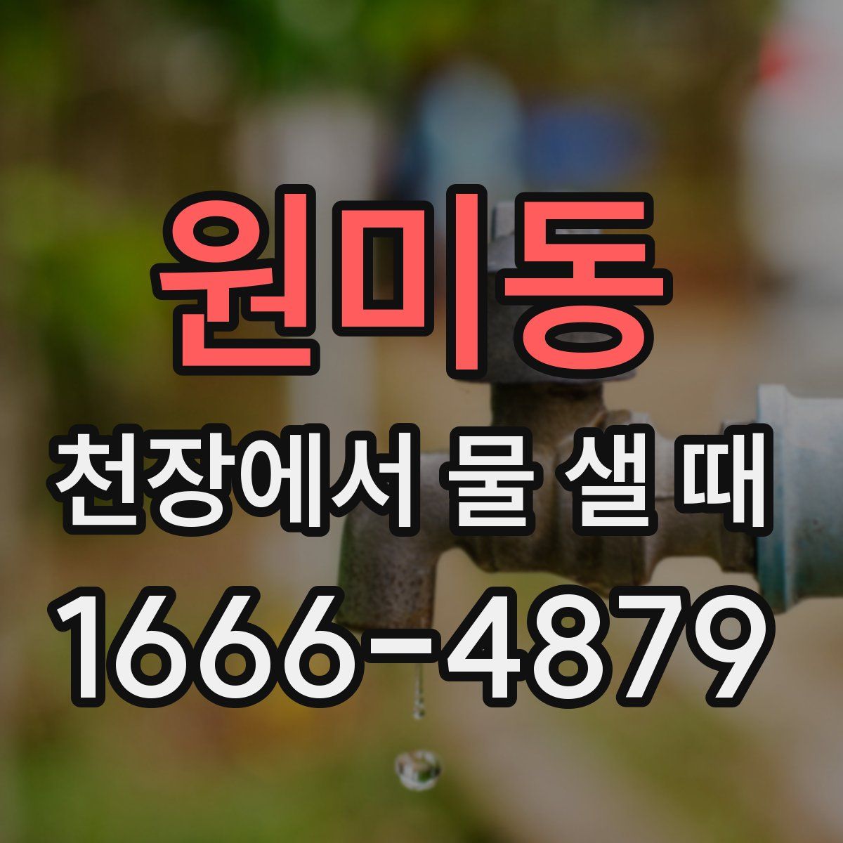 원미동 천장에서 물 샐 때
