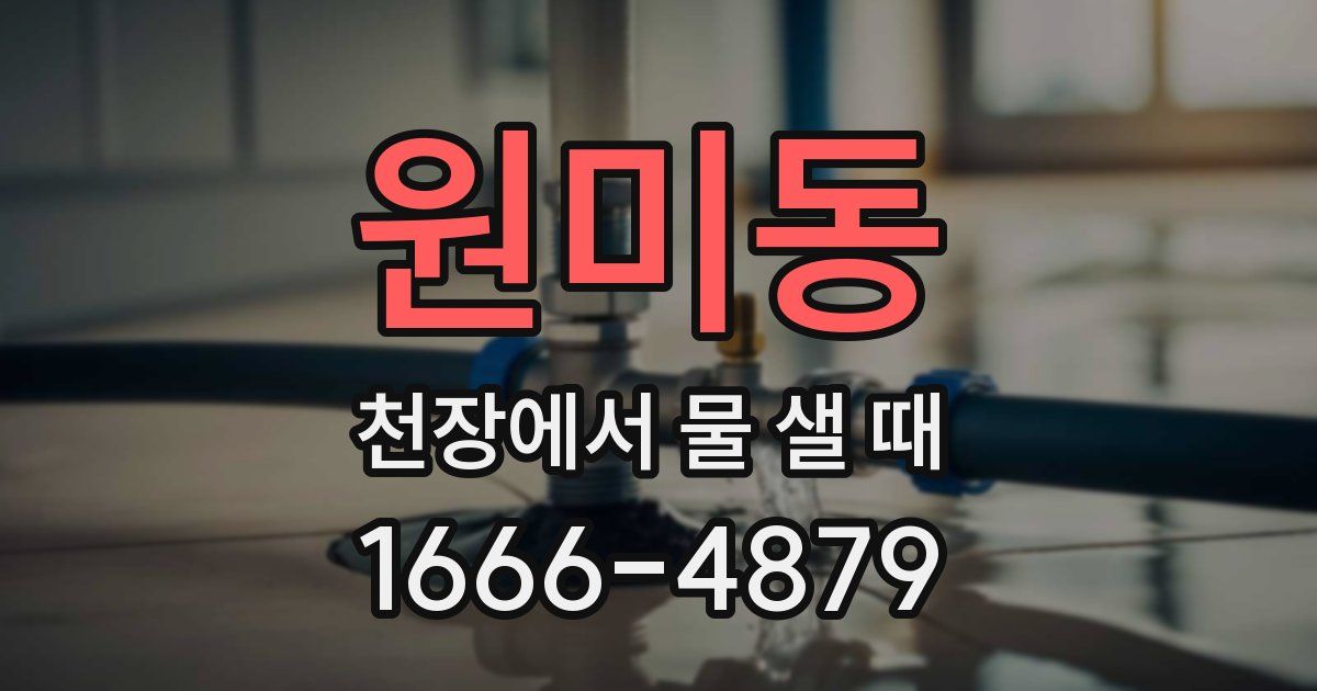 원미동 천장에서 물 샐 때