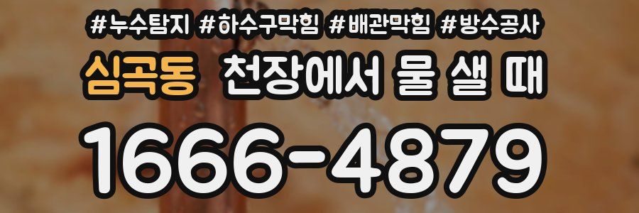 심곡동 천장에서 물 샐 때