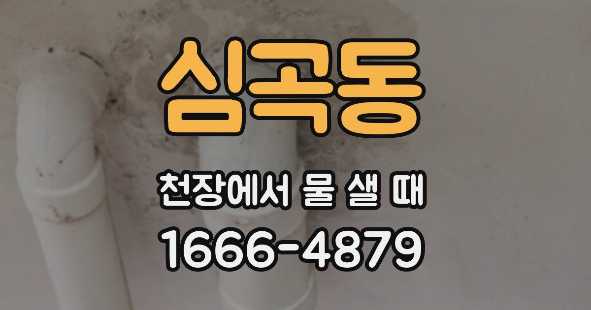 심곡동 천장에서 물 샐 때