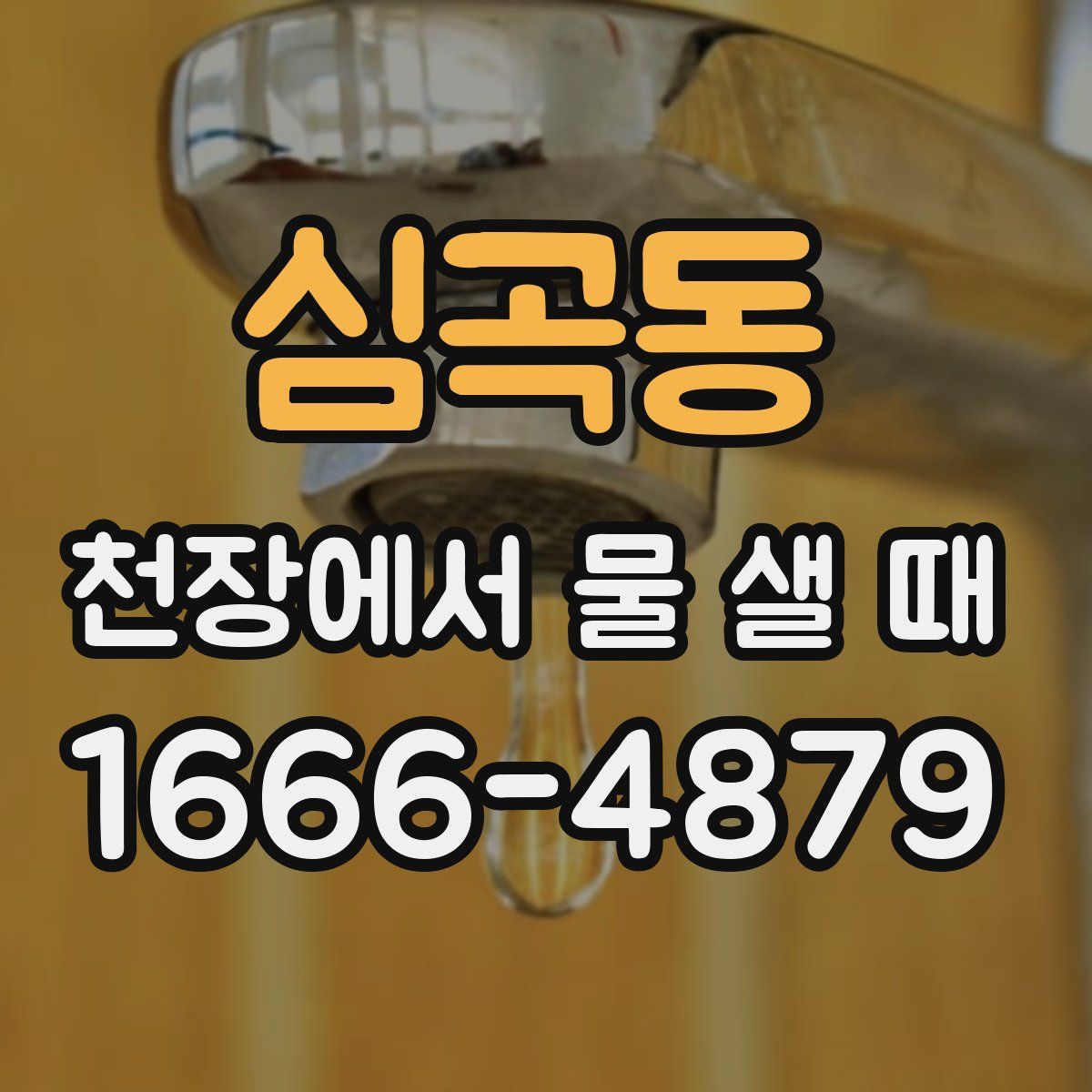 심곡동 천장에서 물 샐 때