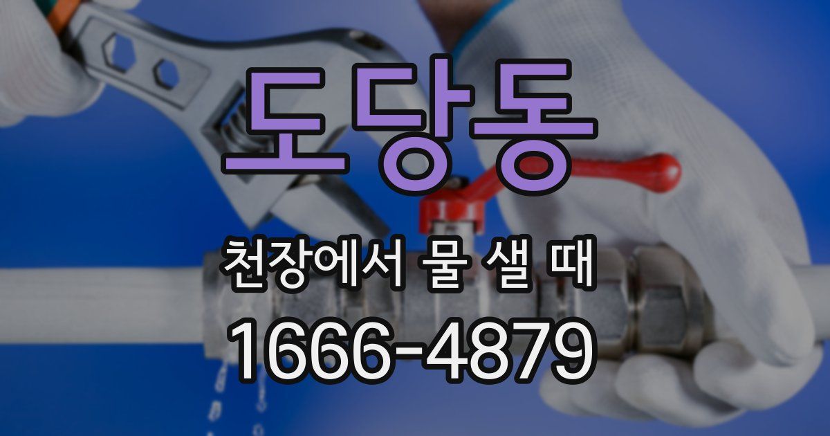 도당동 천장에서 물 샐 때