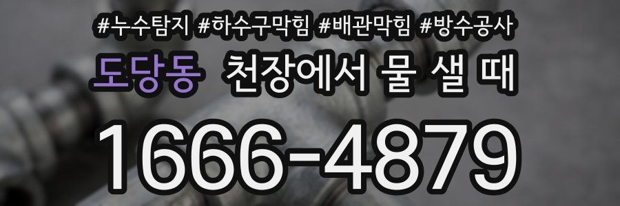 도당동 천장에서 물 샐 때