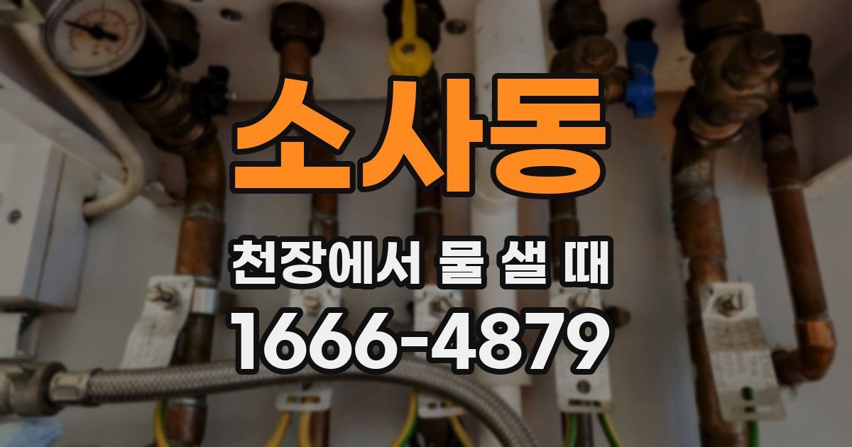 소사동 천장에서 물 샐 때