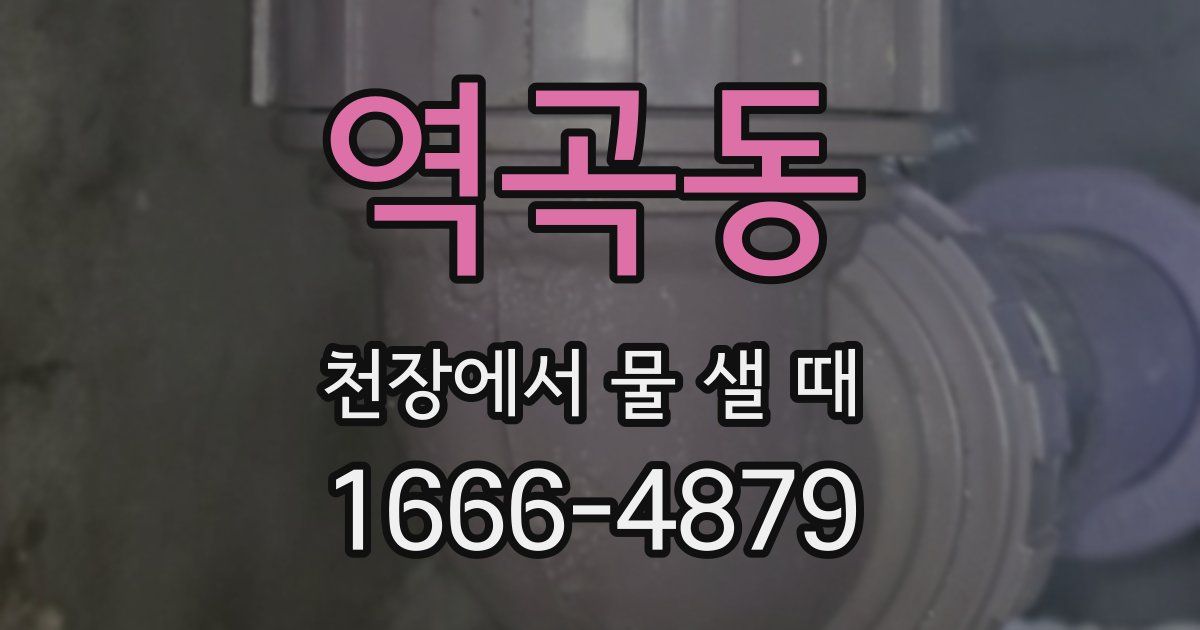 역곡동 천장에서 물 샐 때