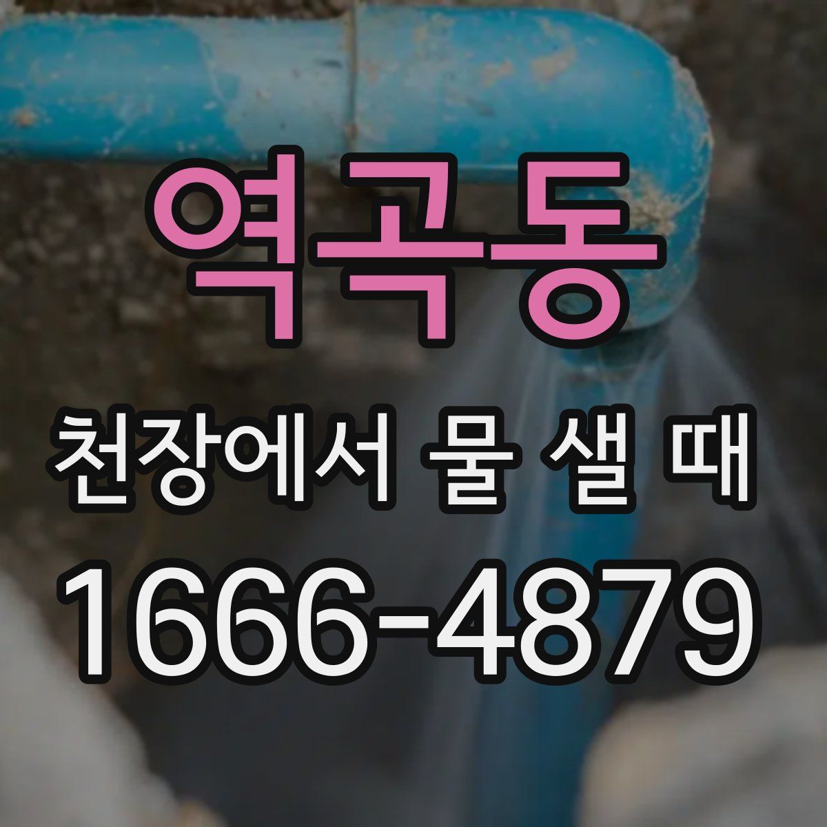 역곡동 천장에서 물 샐 때