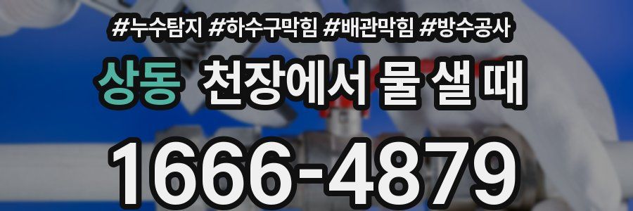 상동 천장에서 물 샐 때