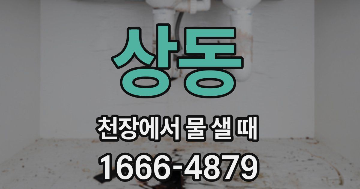 상동 천장에서 물 샐 때