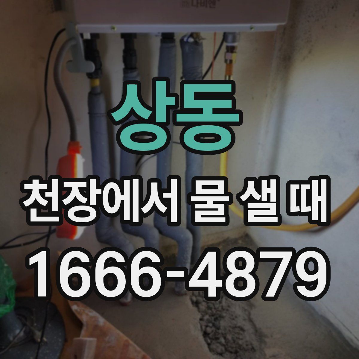 상동 천장에서 물 샐 때