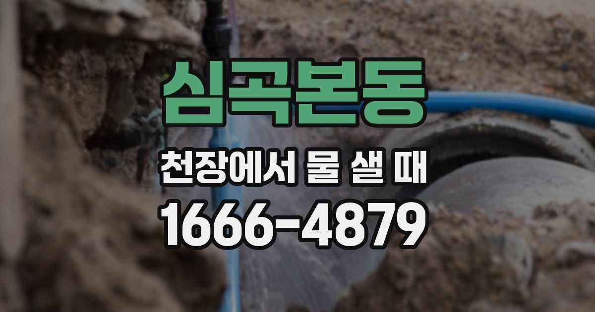 심곡본동 천장에서 물 샐 때