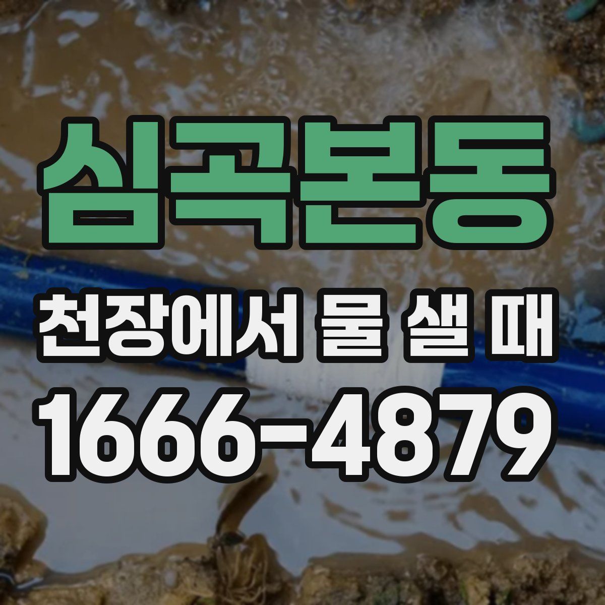 심곡본동 천장에서 물 샐 때