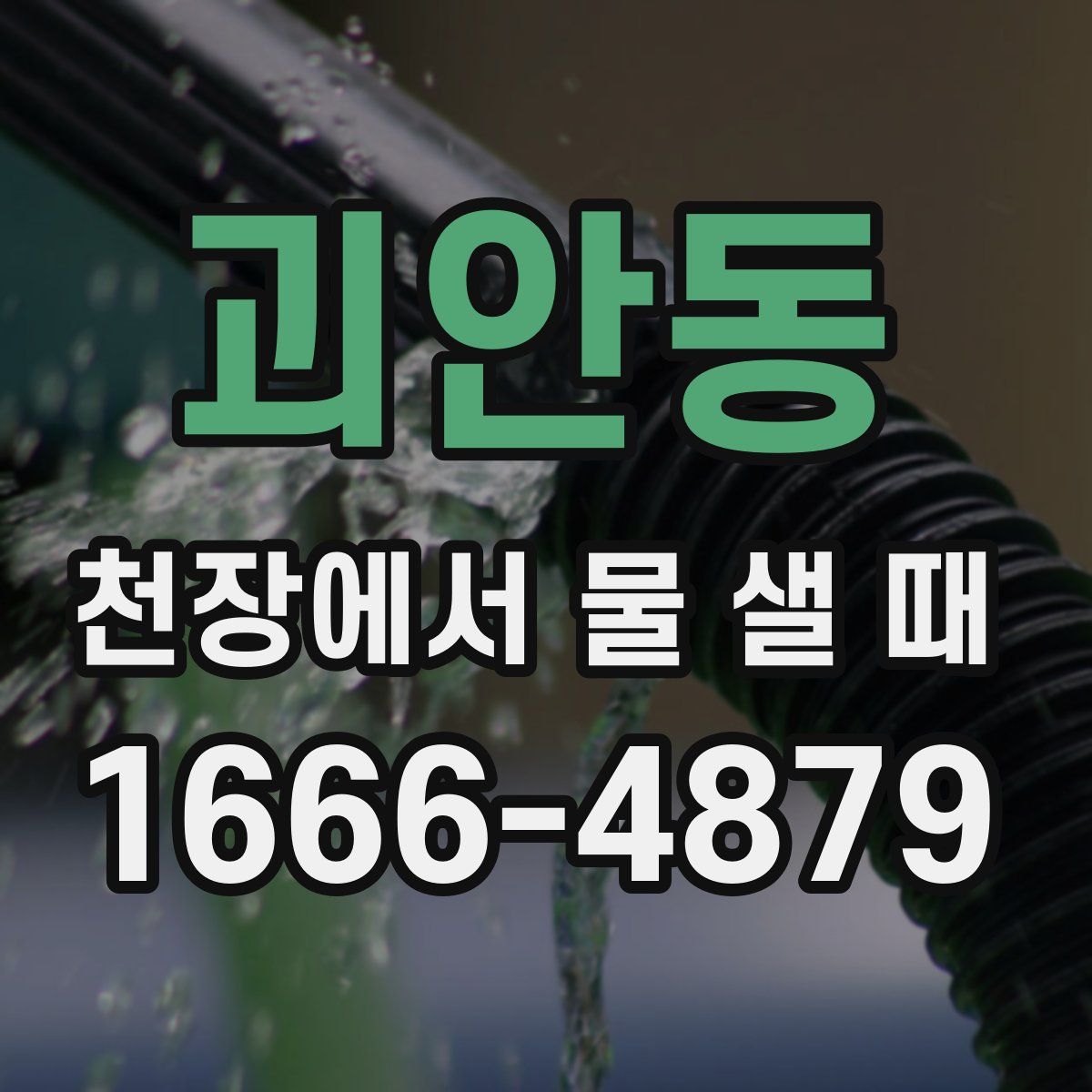 괴안동 천장에서 물 샐 때