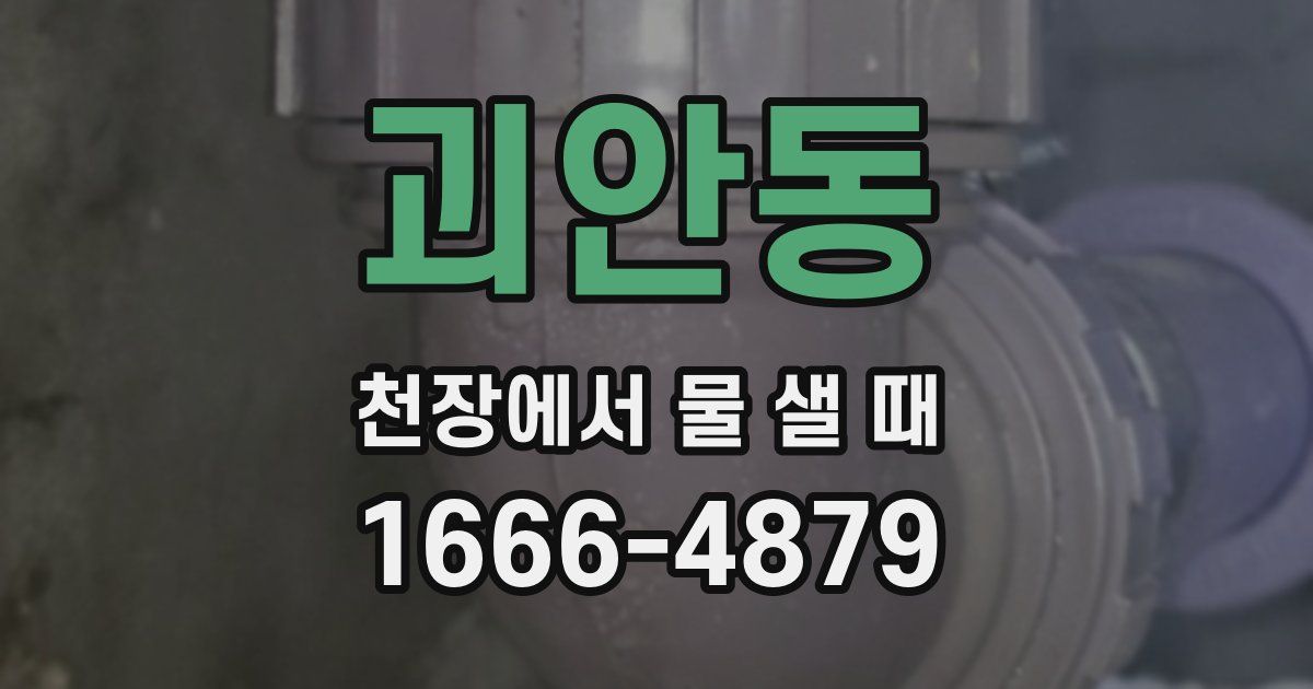 괴안동 천장에서 물 샐 때
