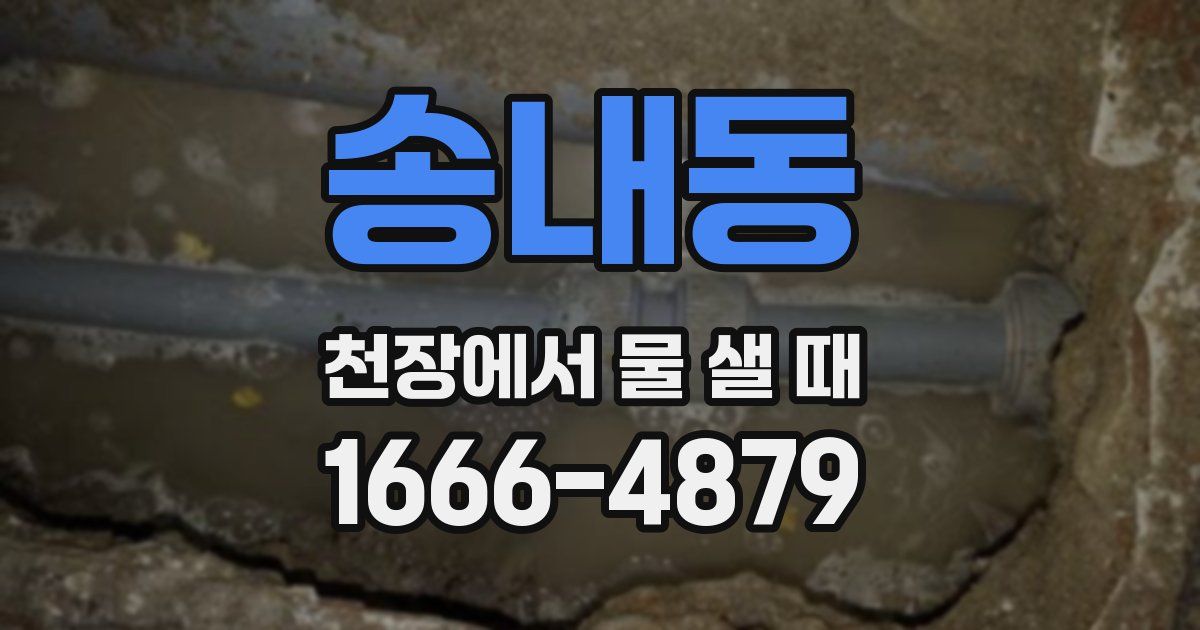송내동 천장에서 물 샐 때