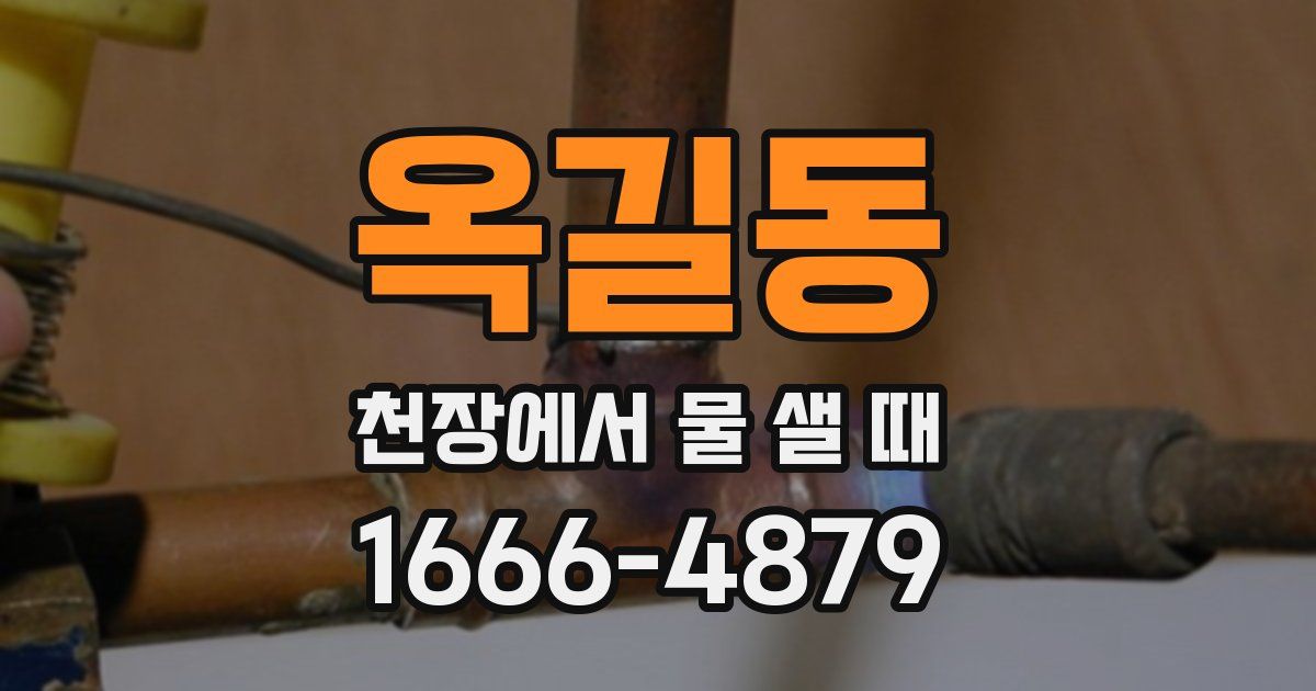 옥길동 천장에서 물 샐 때