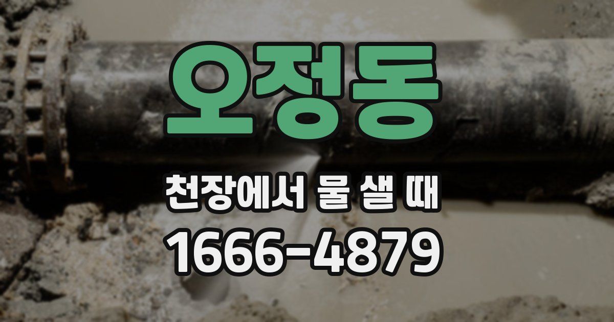 오정동 천장에서 물 샐 때
