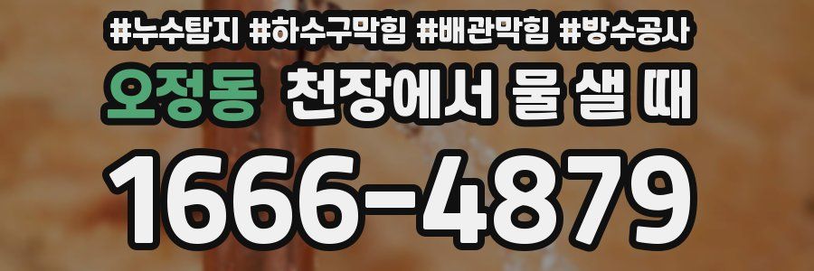 오정동 천장에서 물 샐 때