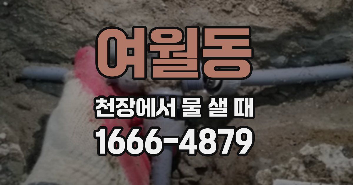 여월동 천장에서 물 샐 때