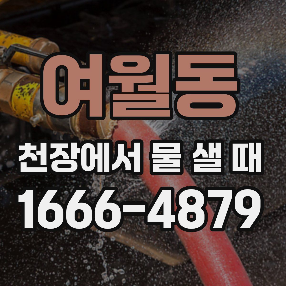 여월동 천장에서 물 샐 때