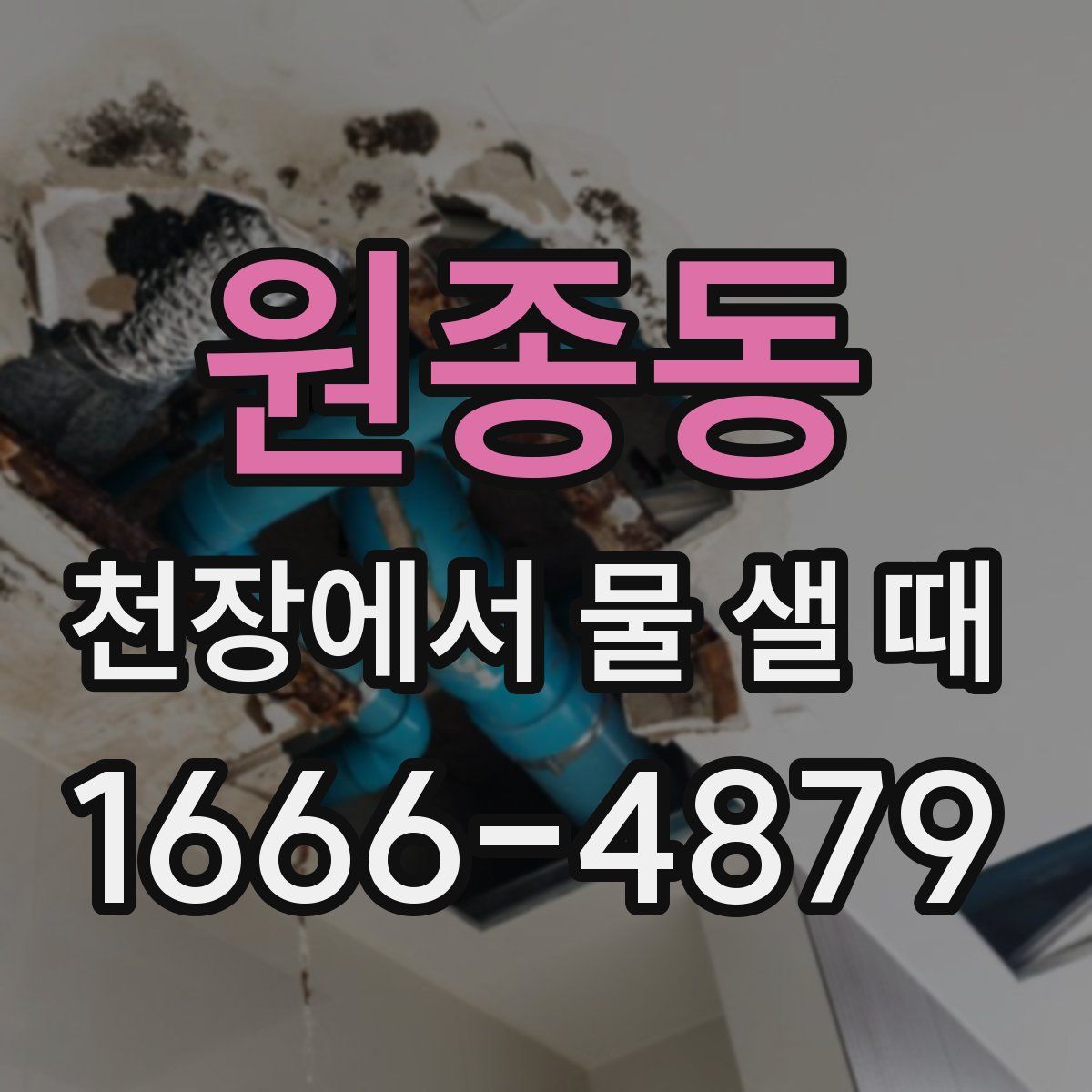 원종동 천장에서 물 샐 때