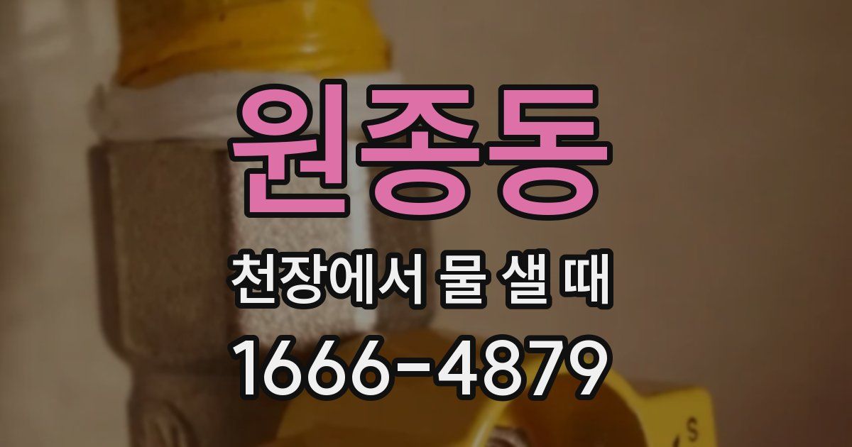 원종동 천장에서 물 샐 때