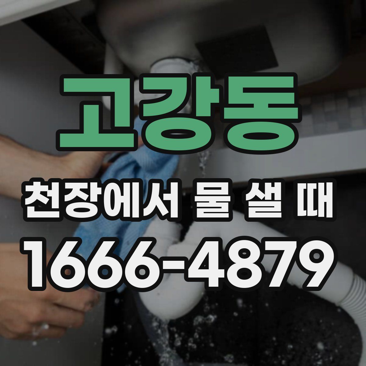 고강동 천장에서 물 샐 때
