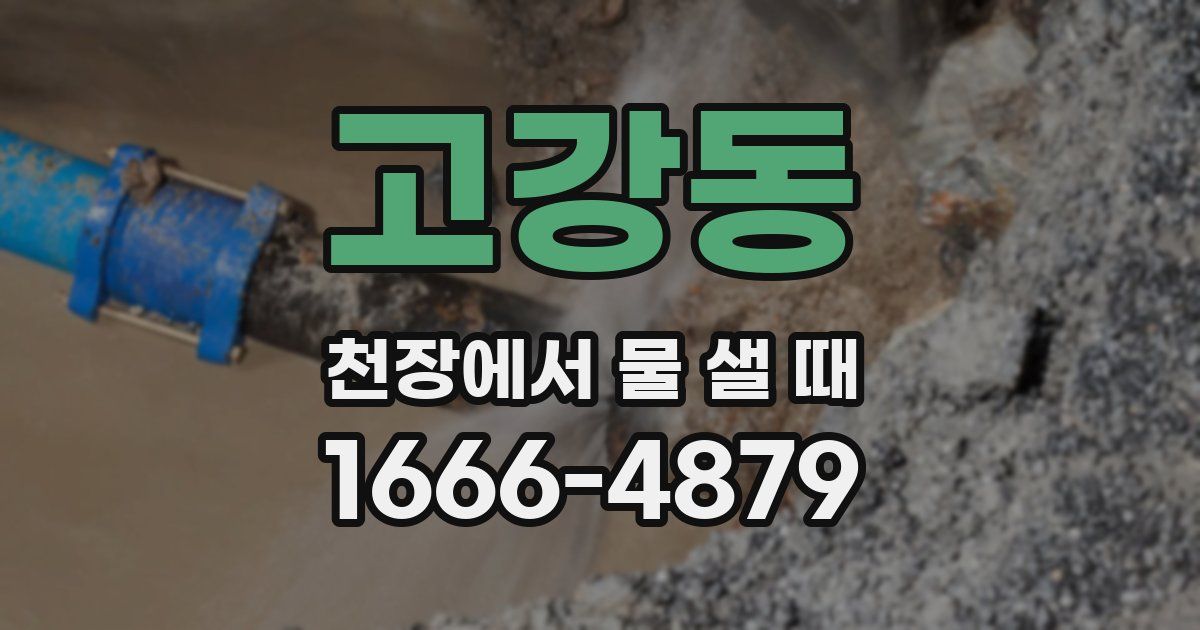 고강동 천장에서 물 샐 때