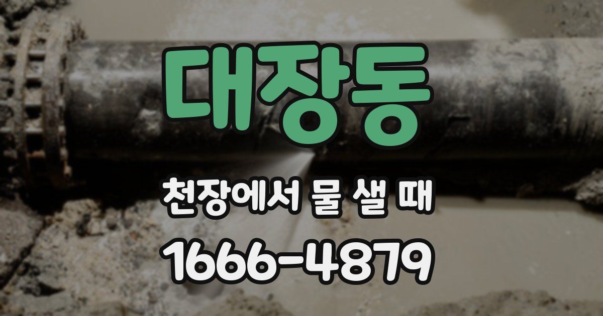 대장동 천장에서 물 샐 때
