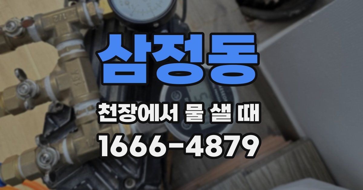 삼정동 천장에서 물 샐 때