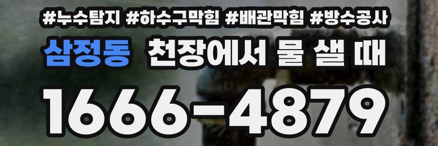 삼정동 천장에서 물 샐 때
