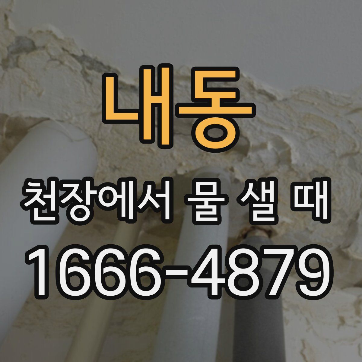 내동 천장에서 물 샐 때