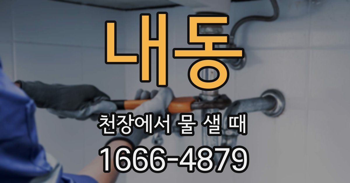 내동 천장에서 물 샐 때