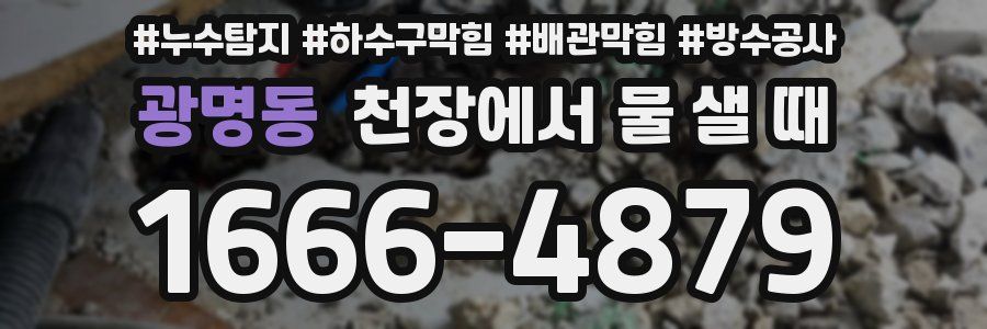 광명동 천장에서 물 샐 때