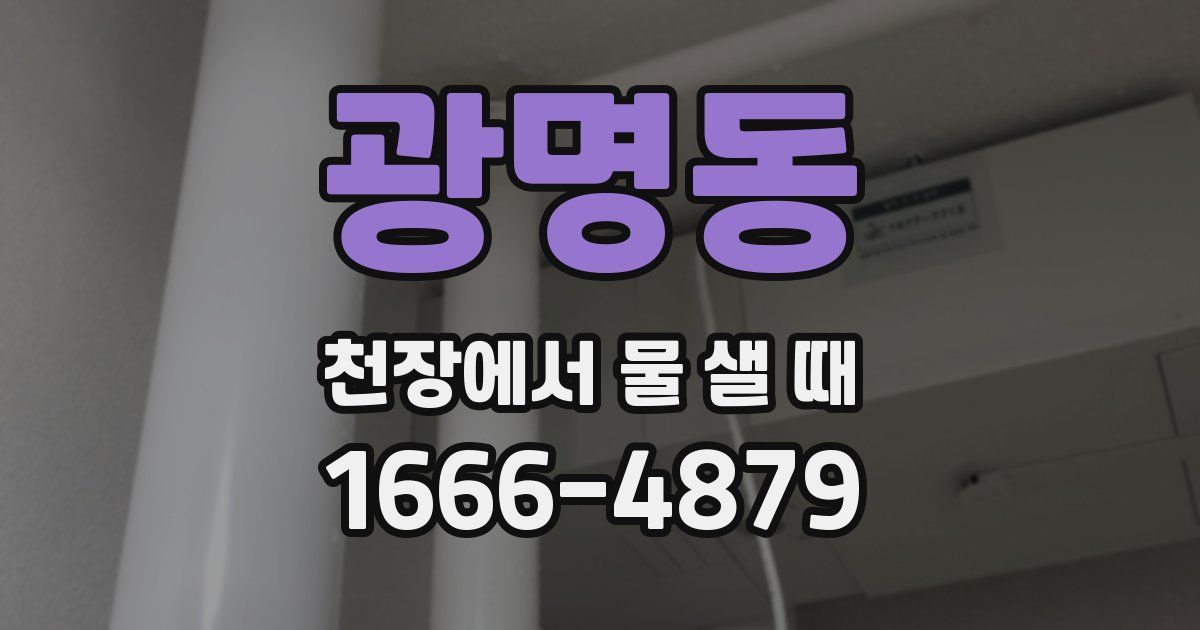 광명동 천장에서 물 샐 때