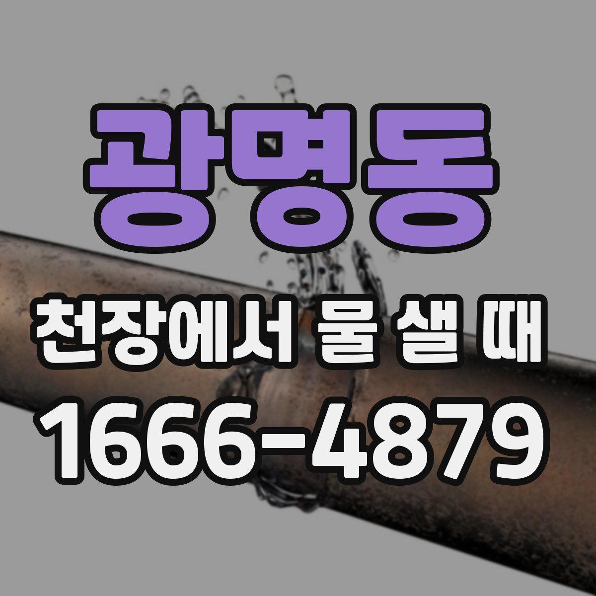 광명동 천장에서 물 샐 때