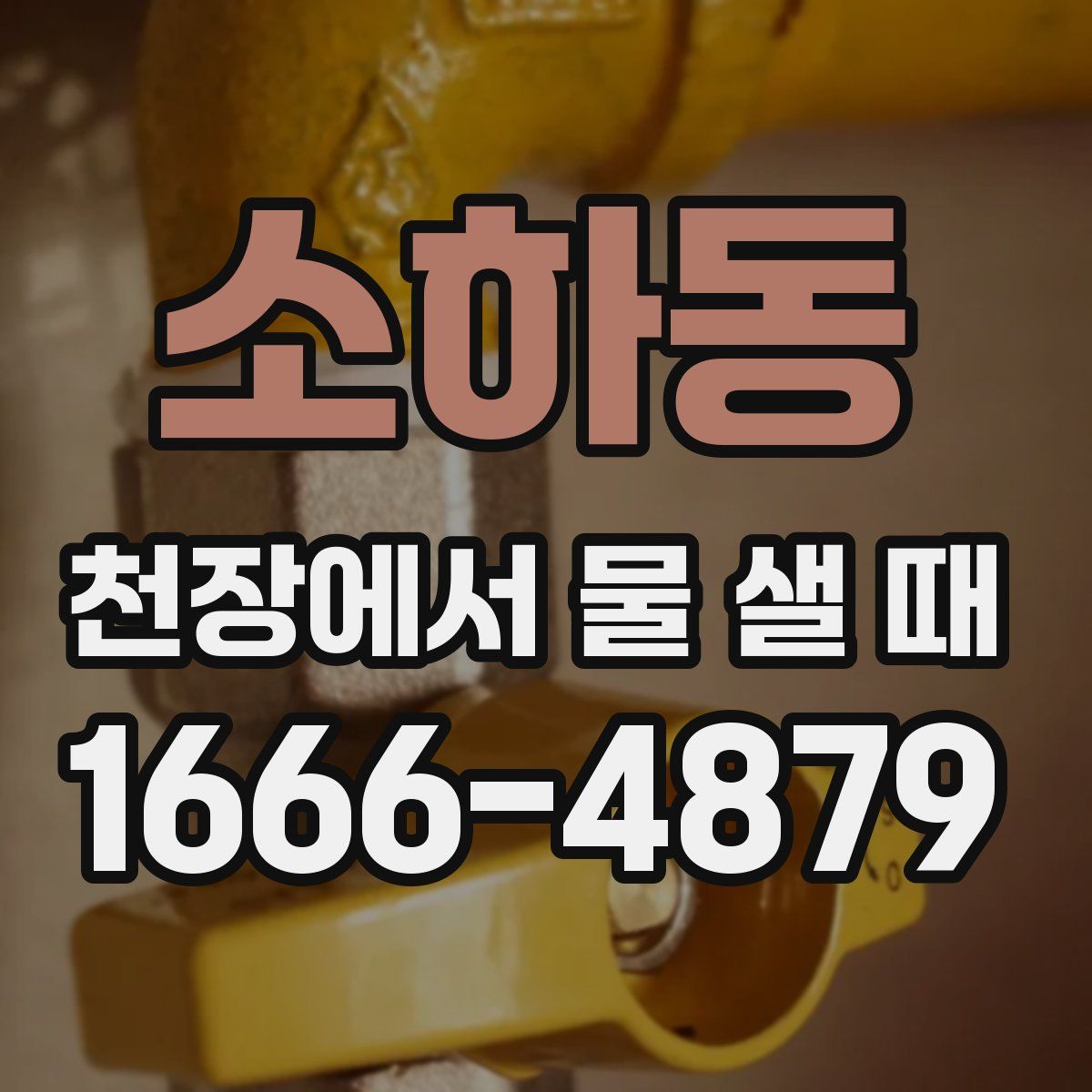 소하동 천장에서 물 샐 때