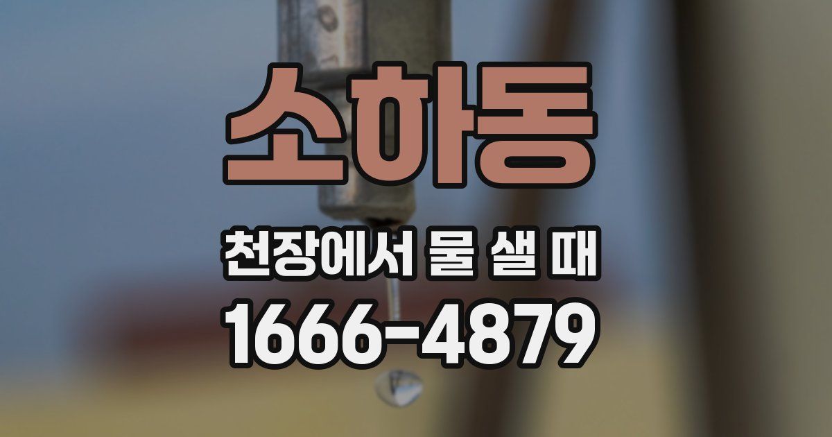 소하동 천장에서 물 샐 때
