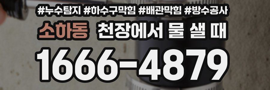 소하동 천장에서 물 샐 때