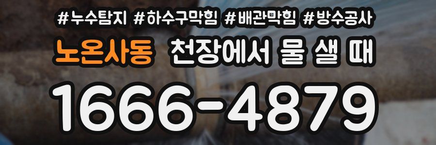 노온사동 천장에서 물 샐 때
