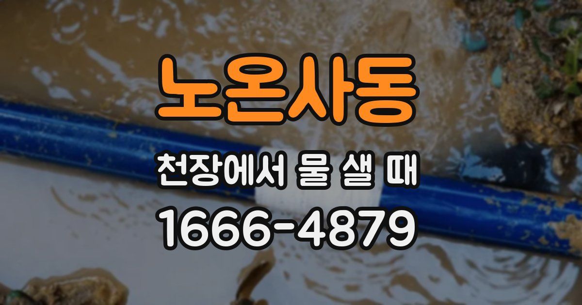 노온사동 천장에서 물 샐 때