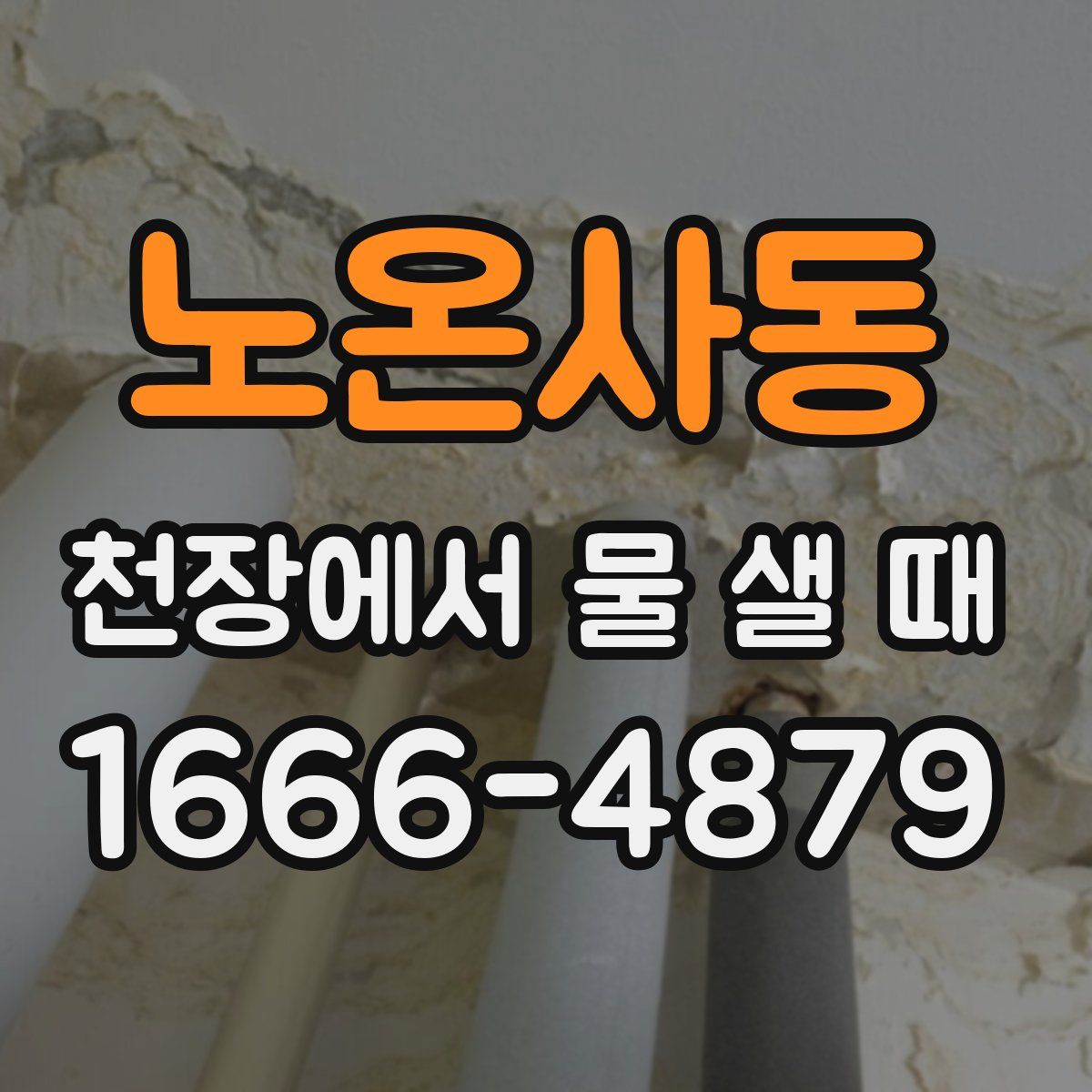 노온사동 천장에서 물 샐 때