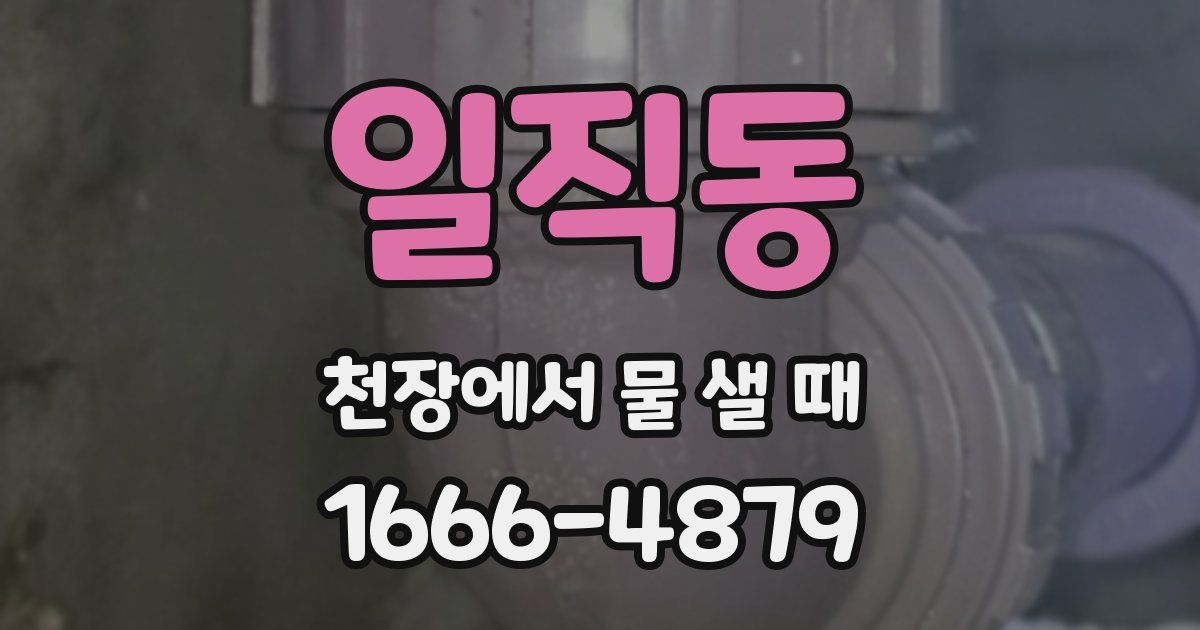 일직동 천장에서 물 샐 때
