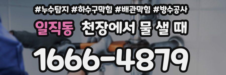일직동 천장에서 물 샐 때