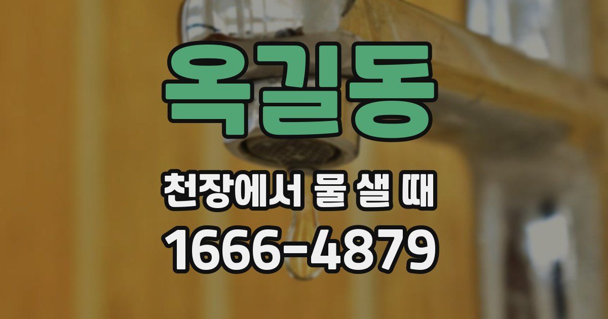 옥길동 천장에서 물 샐 때