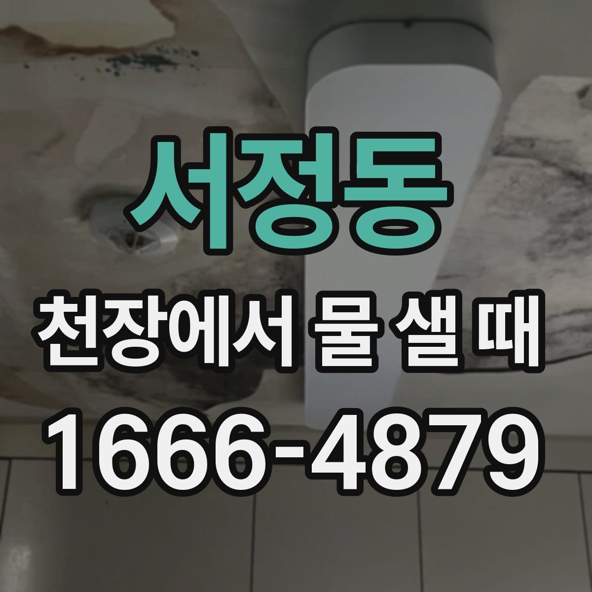 서정동 천장에서 물 샐 때